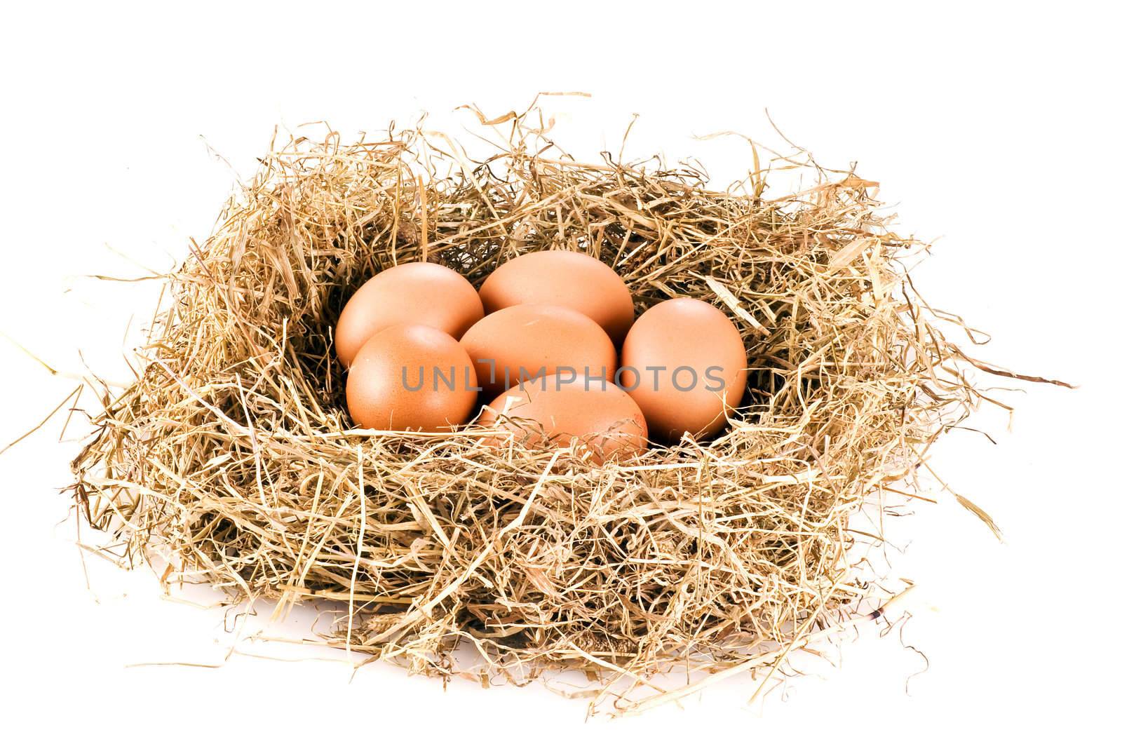Fresh farm eggs in hay over white background