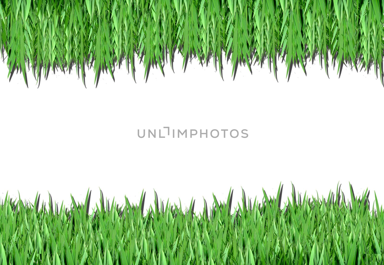 Over view of grass on white background