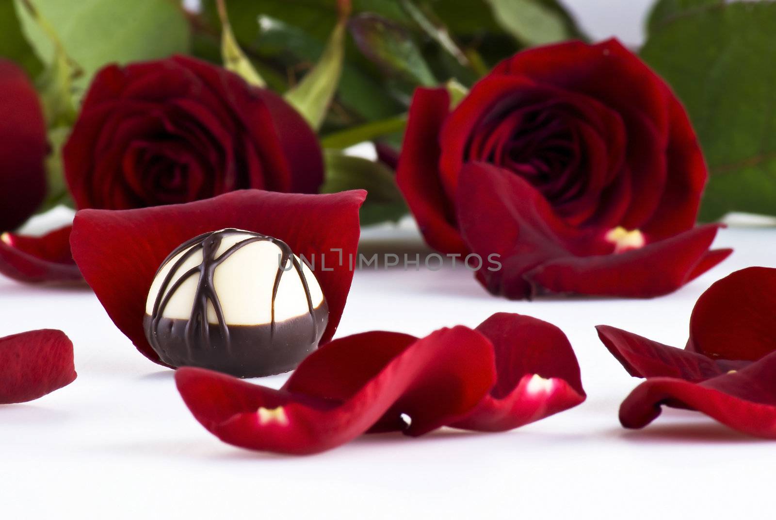 Luxury chocolate on rose petal and roses