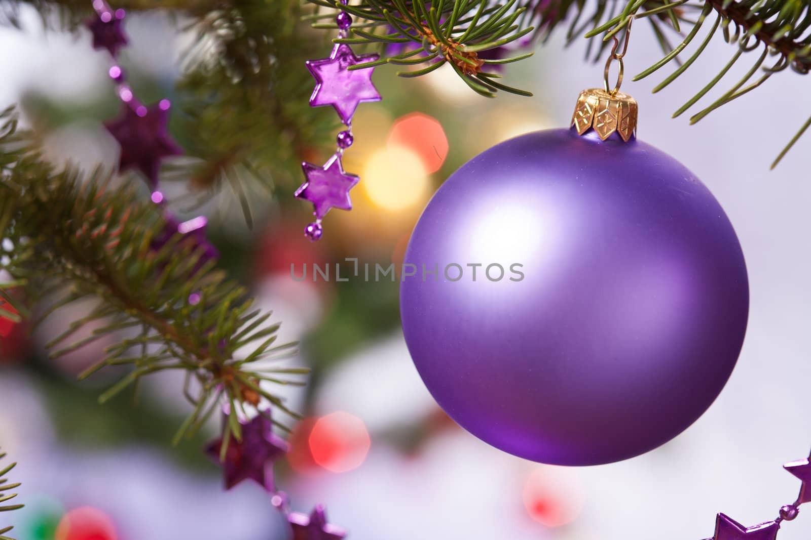 holiday series: lilac ball and stars on the fir