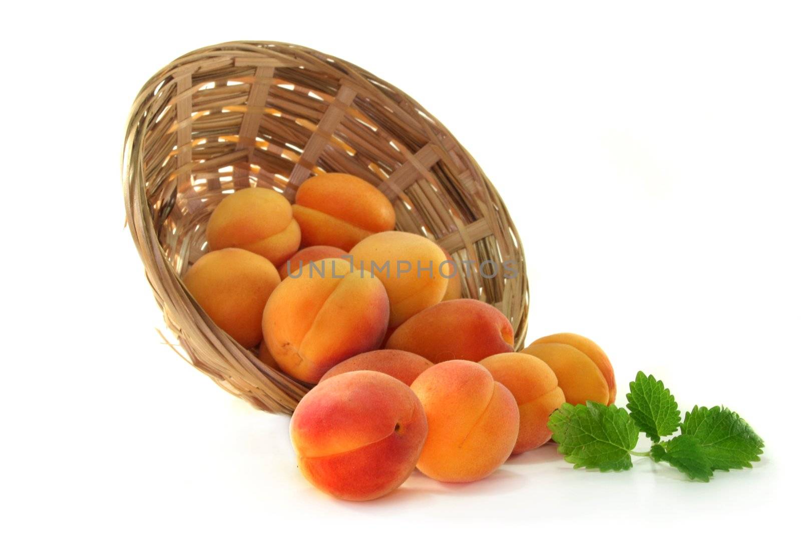 fresh apricots and lemon balm on white background