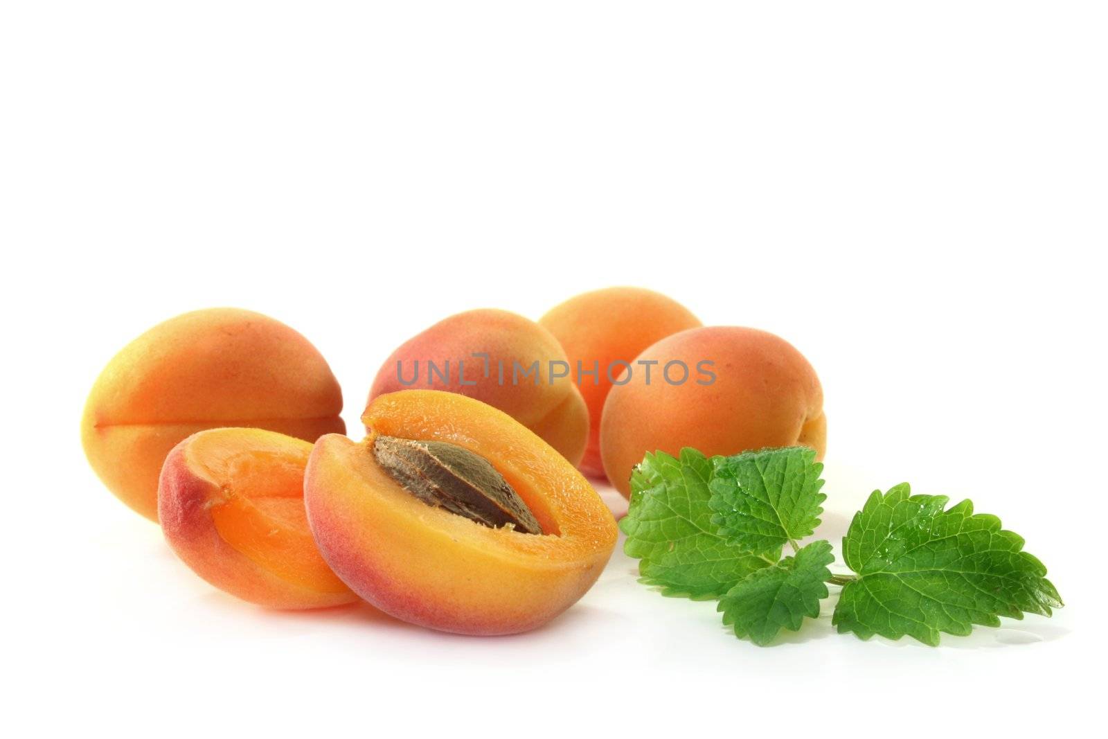 fresh apricots and lemon balm on white background