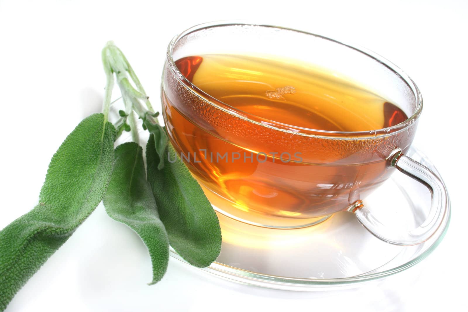 a cup of herbal tea with fresh herbs
