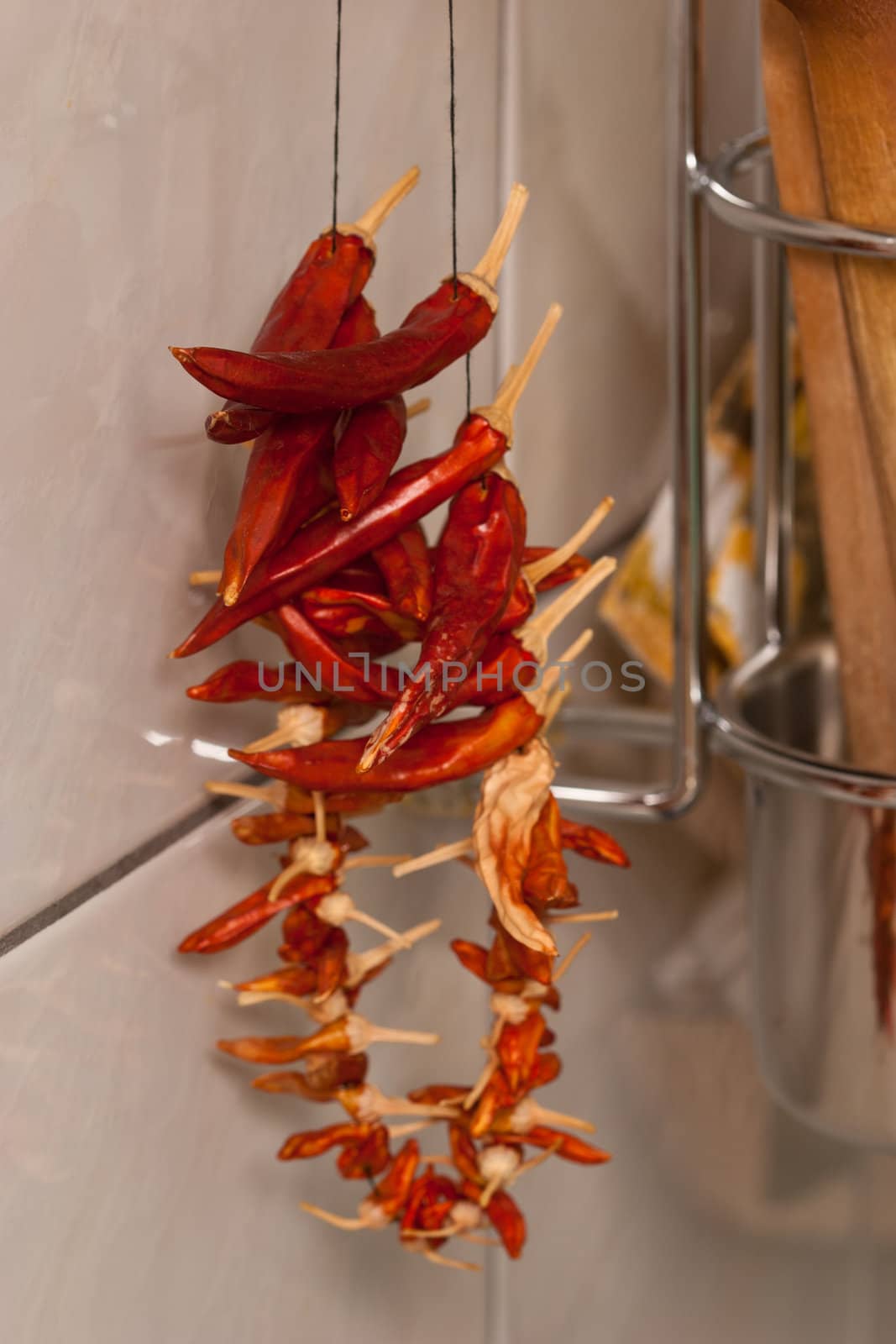kitchen series: accessory and dry red pepper