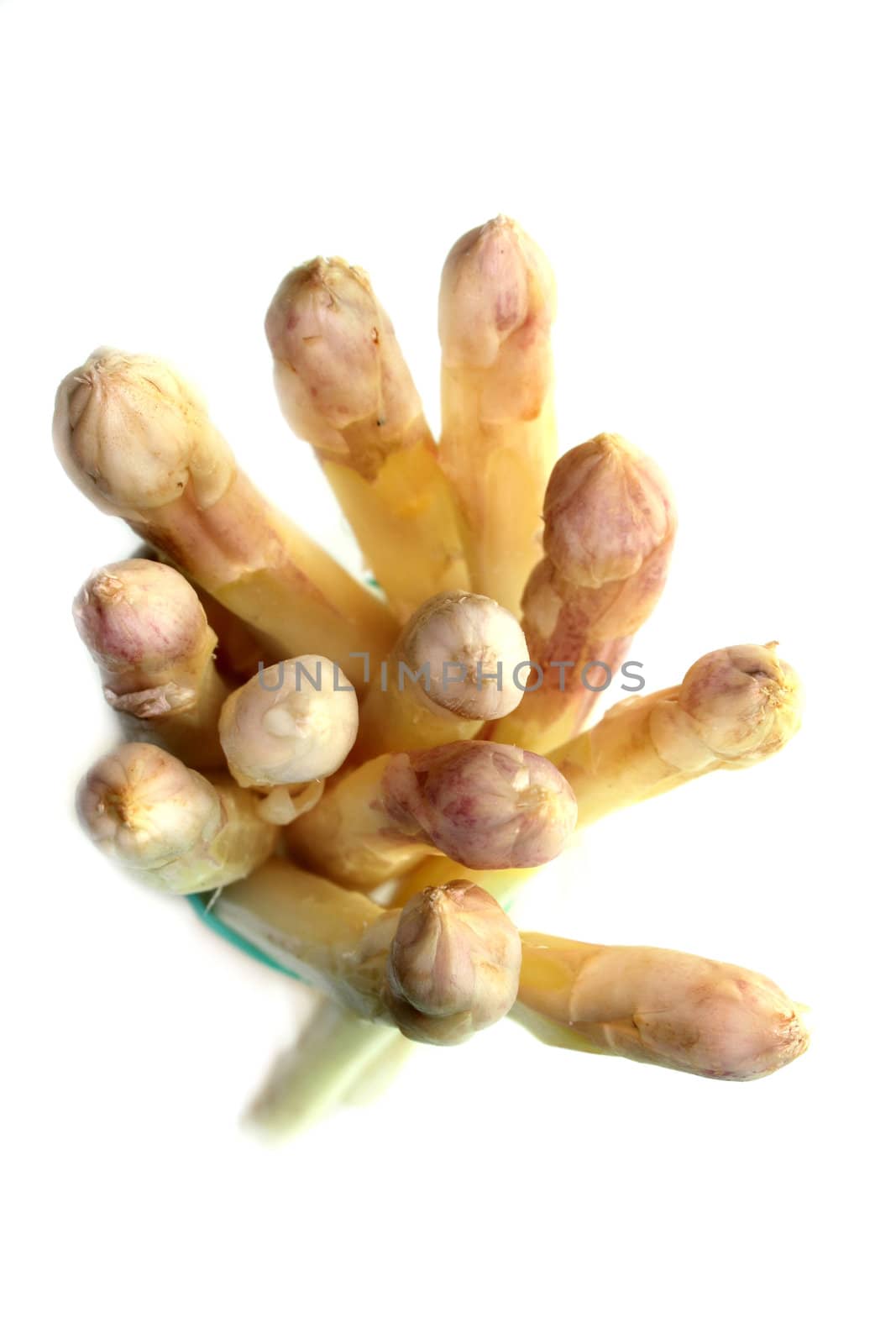 a bundle of fresh asparagus on a white background