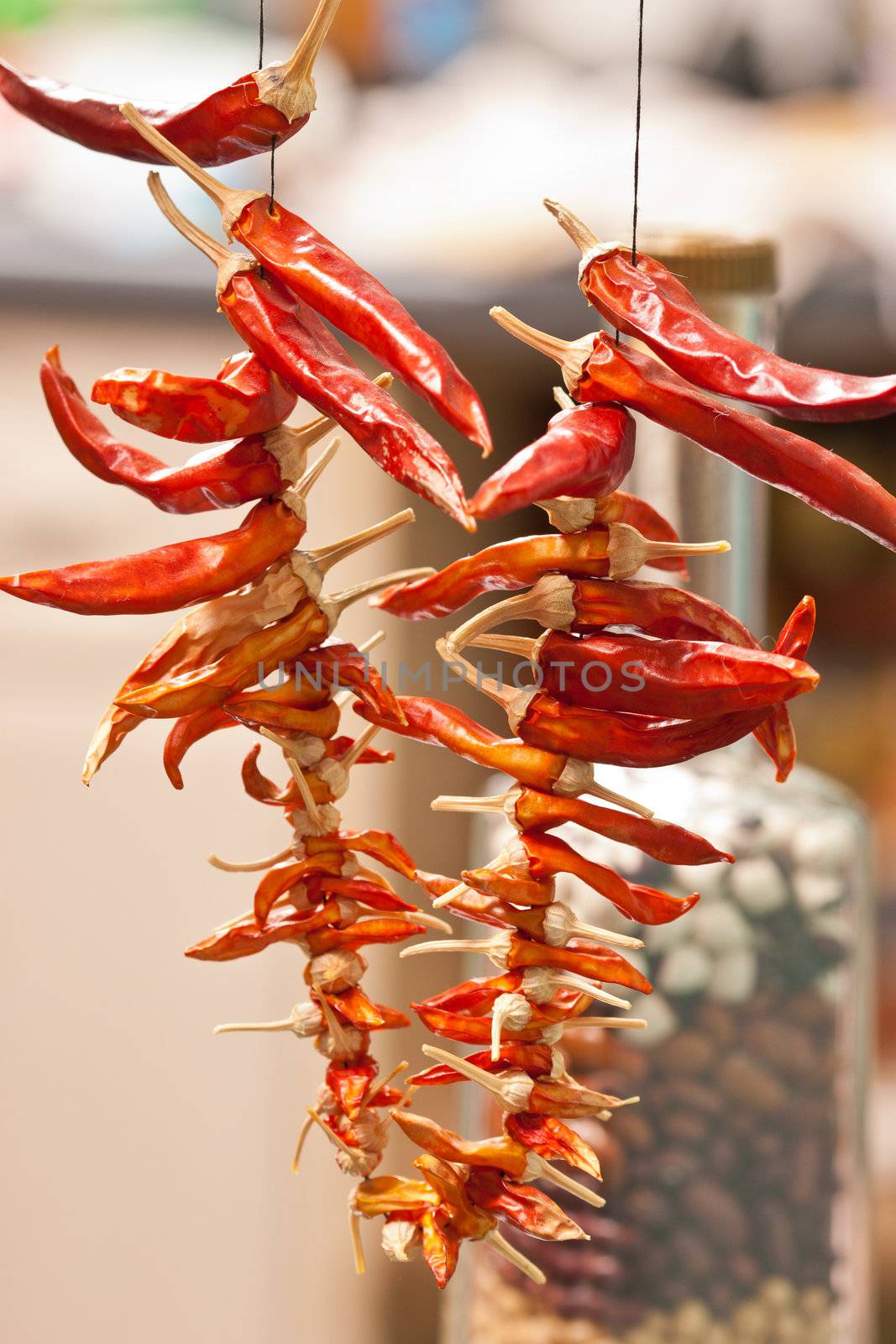 food series: dry red pepper as spicery