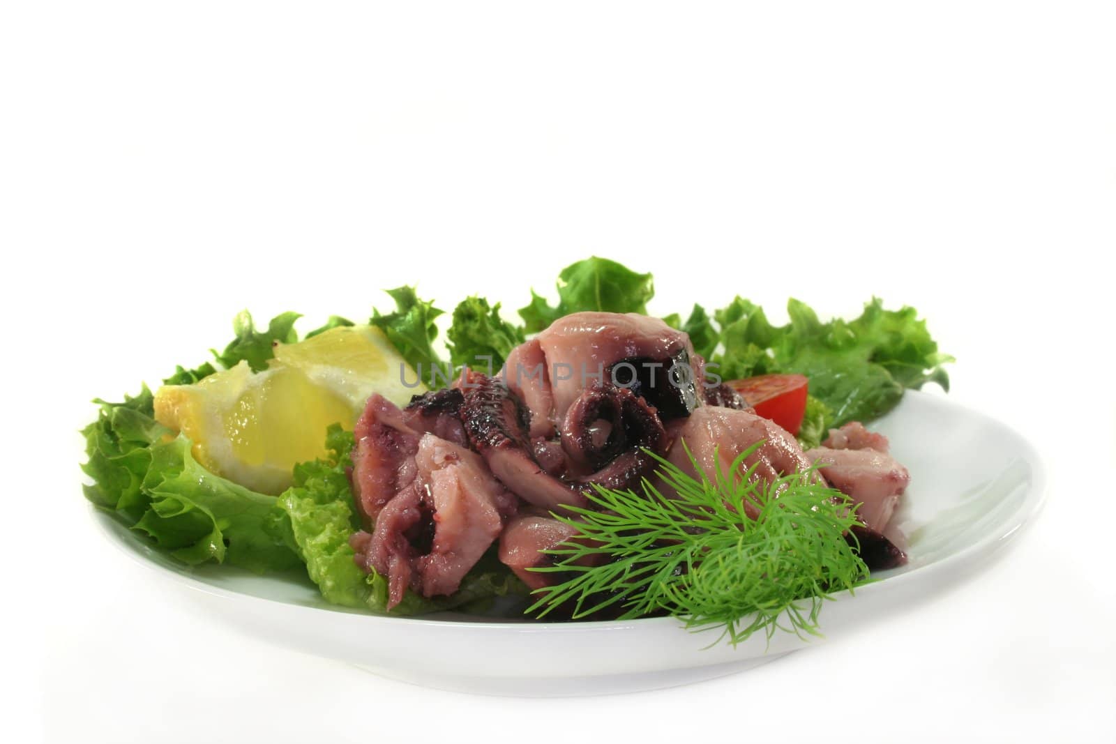 Octopus salad with fresh vegetables and herbs