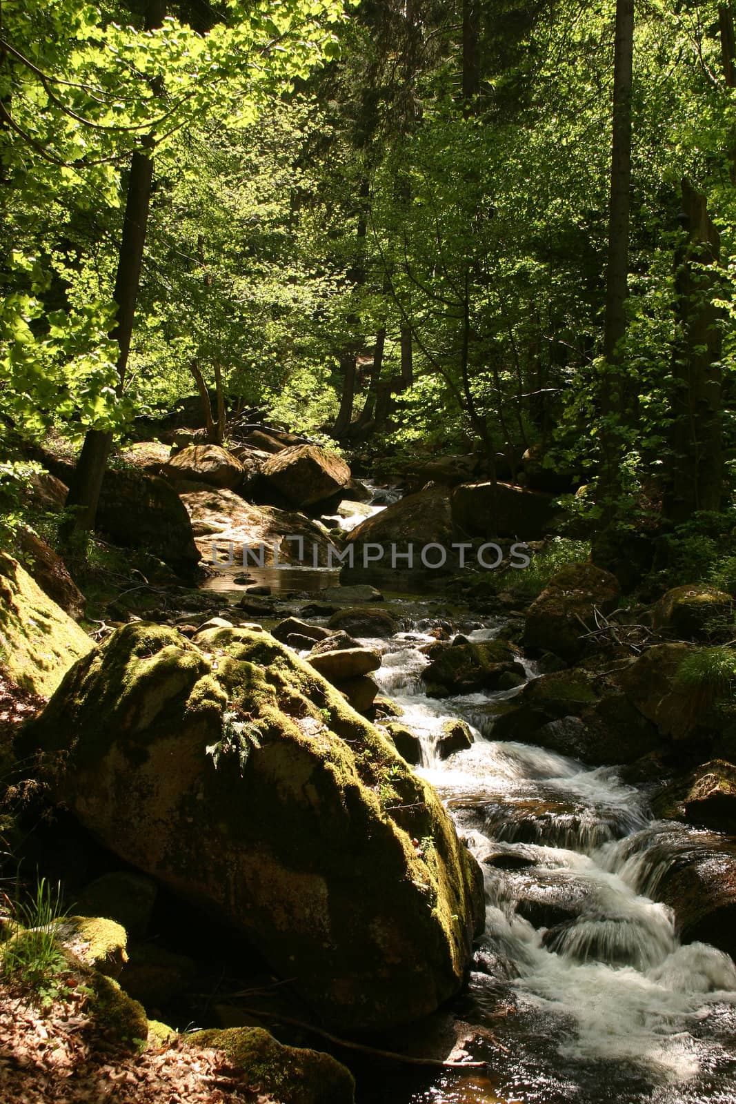 Mountain stream "Ilse" in the National Park "Upper Harz" in Saxony-Anhalt / Germany

