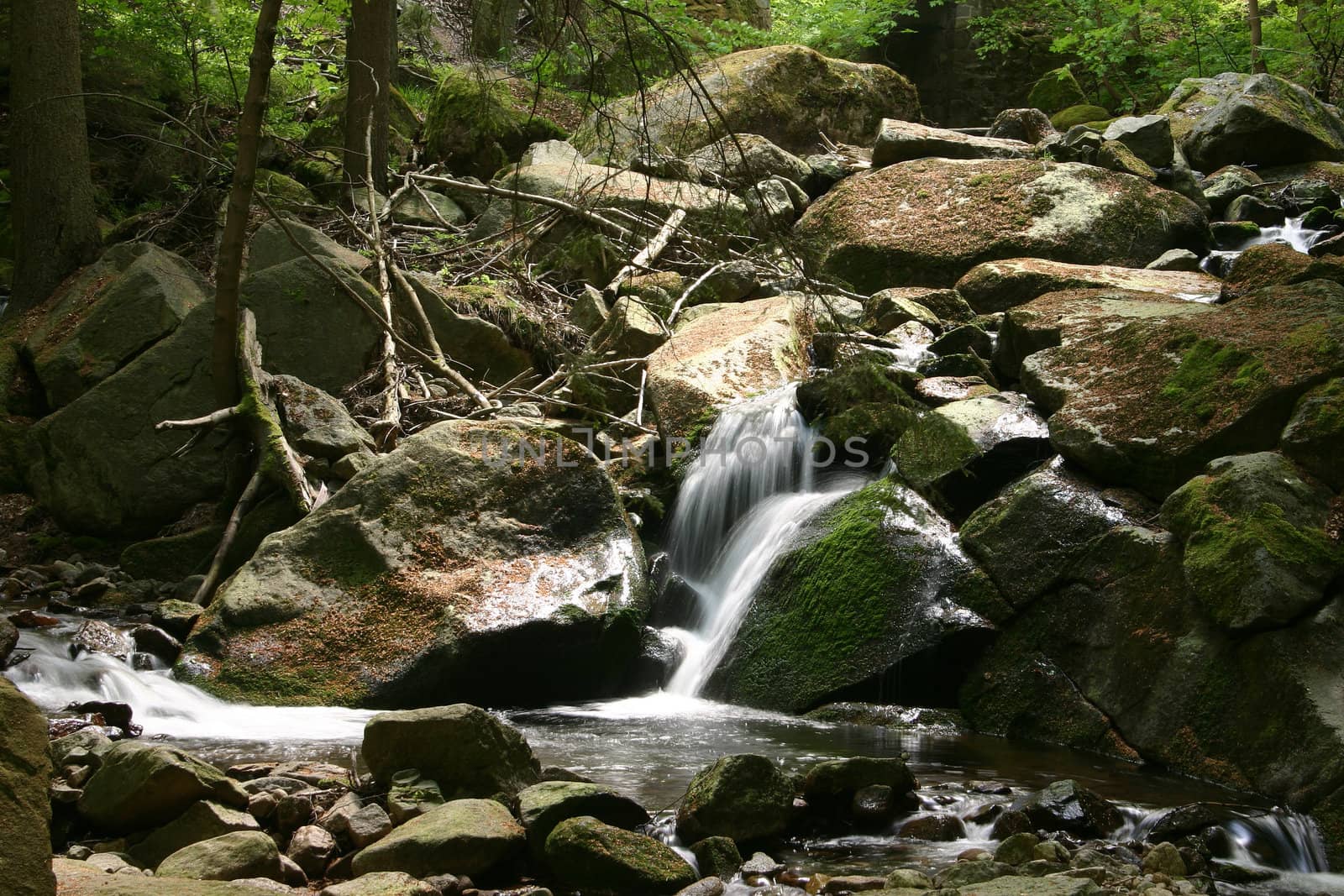 Mountain stream by tdietrich