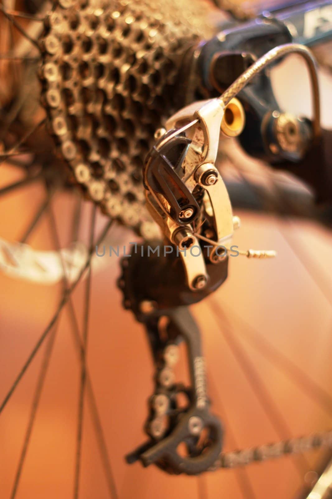 Bicycle Gears by chrisga