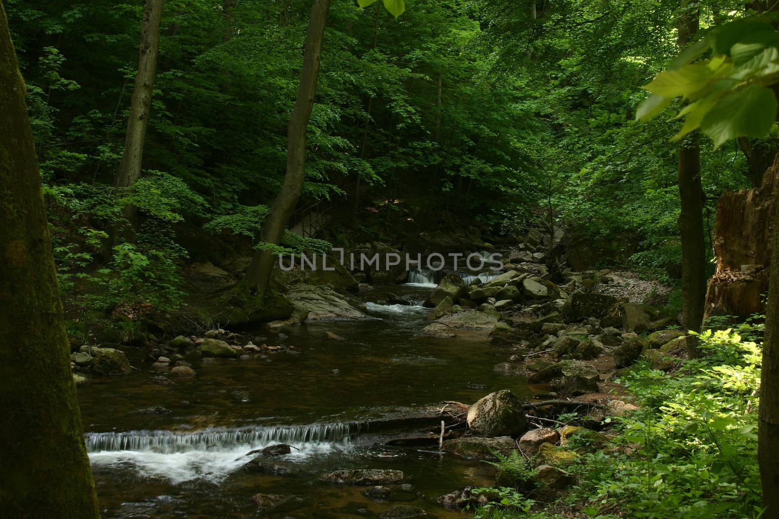 Mountain stream "Ilse" in the National Park "Upper Harz" in Saxony-Anhalt / Germany

