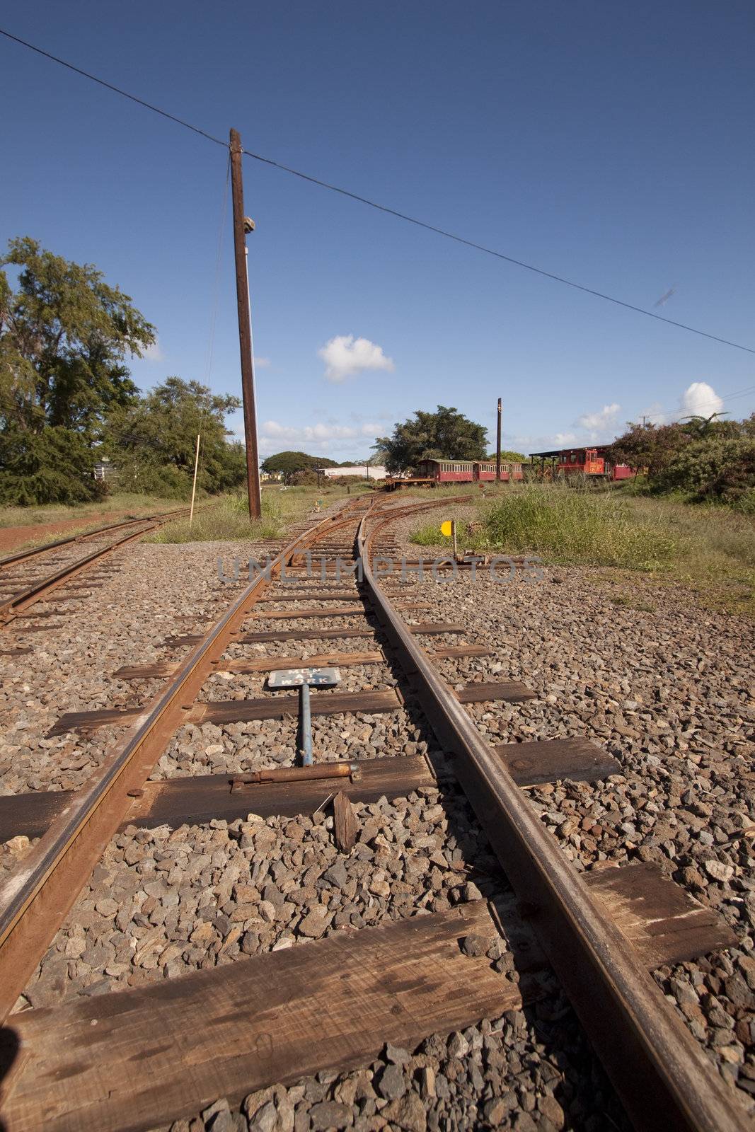 Old rusty tropical train tracks by jeremywhat