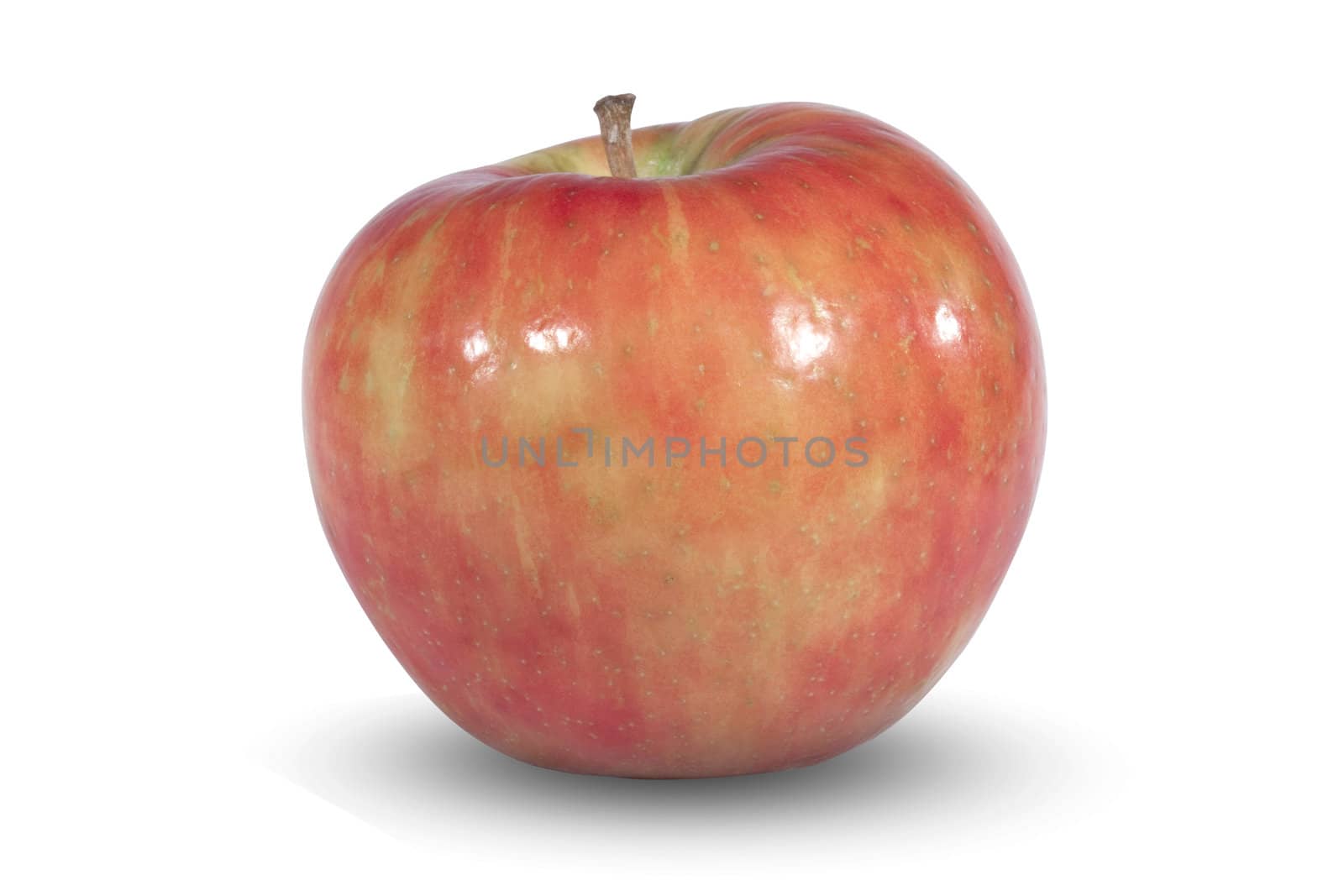 An apple isolated on white.