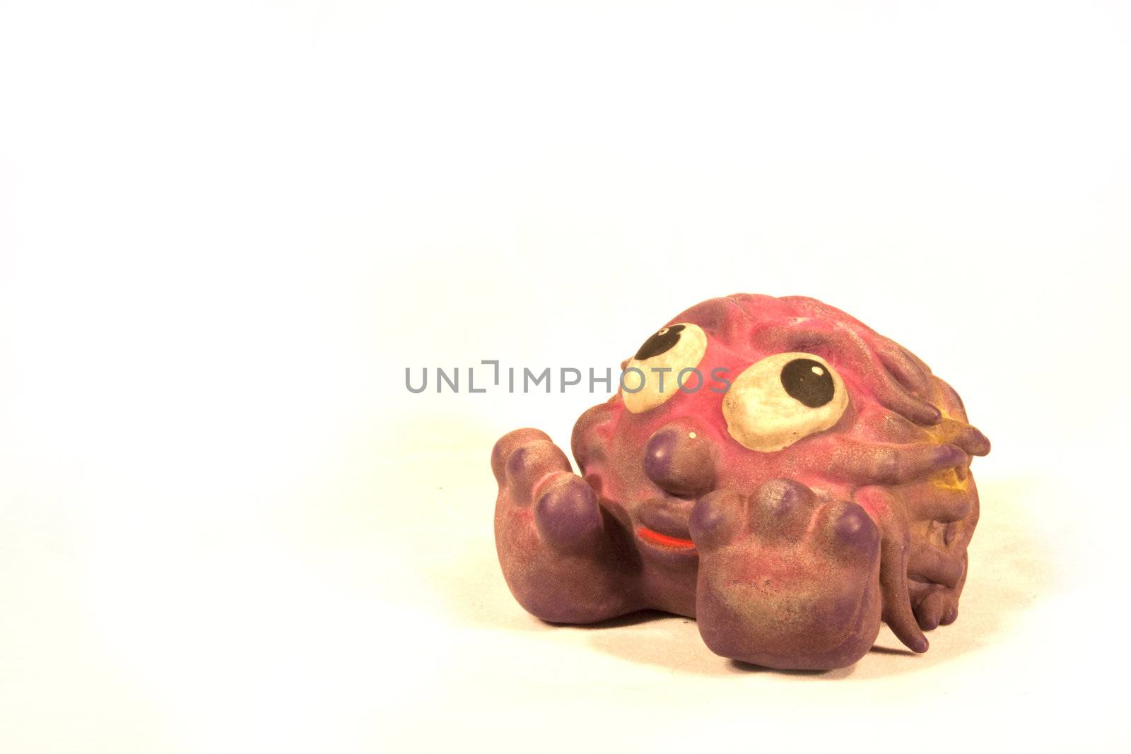 A dog toy isolated on white
