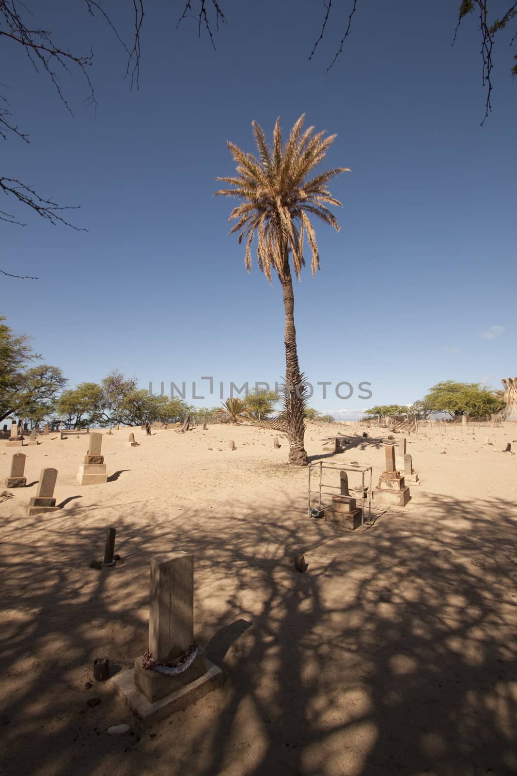 A old tropical cemetery