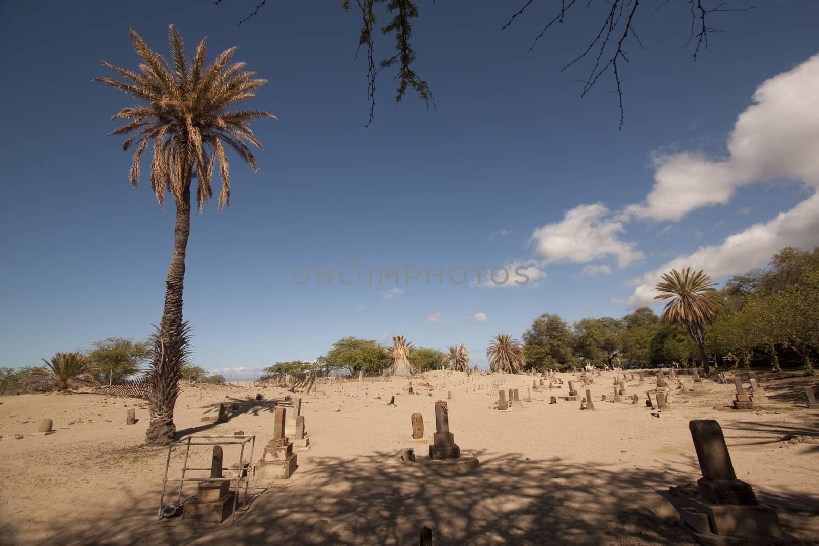 A old tropical cemetery