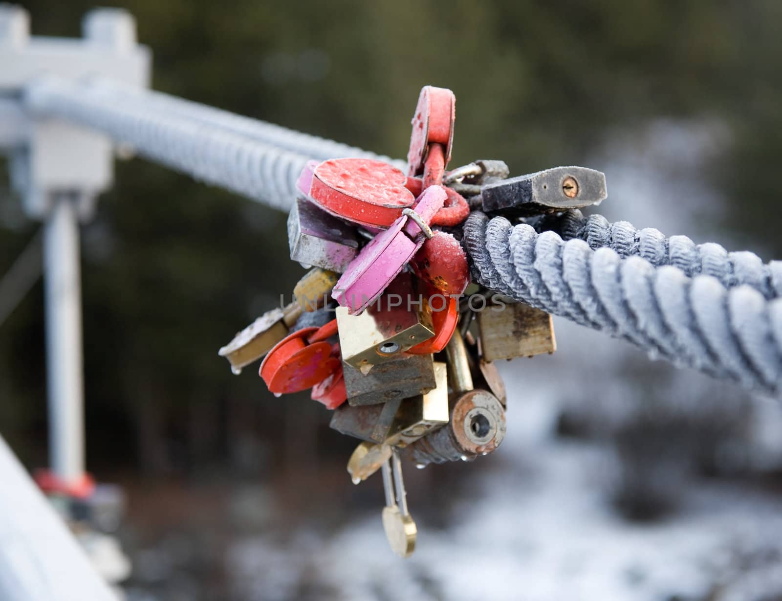 Symbolic locks on the railing of the bridge in frosty steel cable