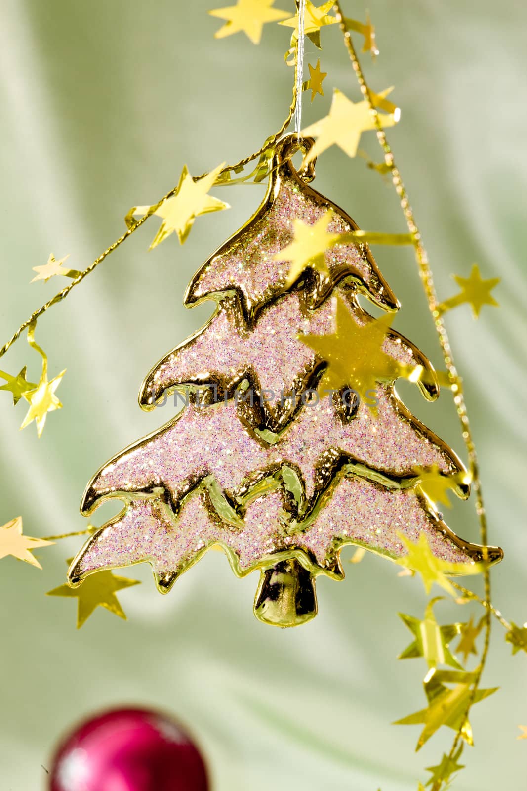 Holiday series:  Christmas fir and the golden garland
