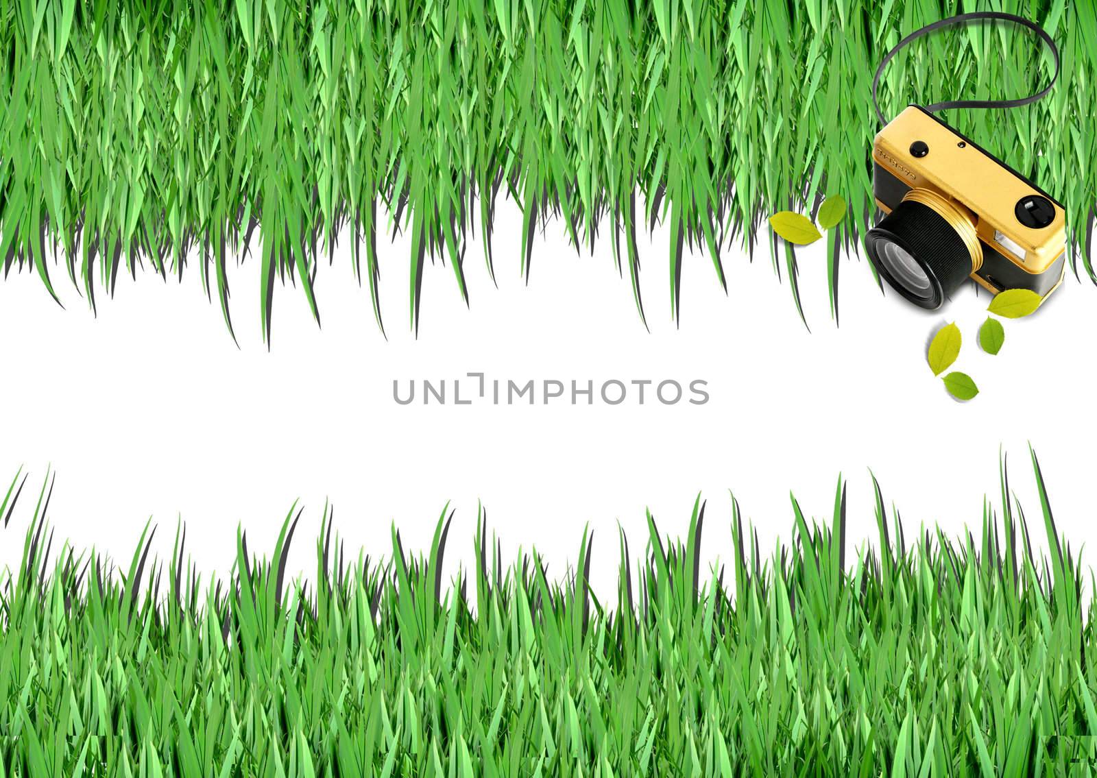 Over view of grass on white background 
 by rufous