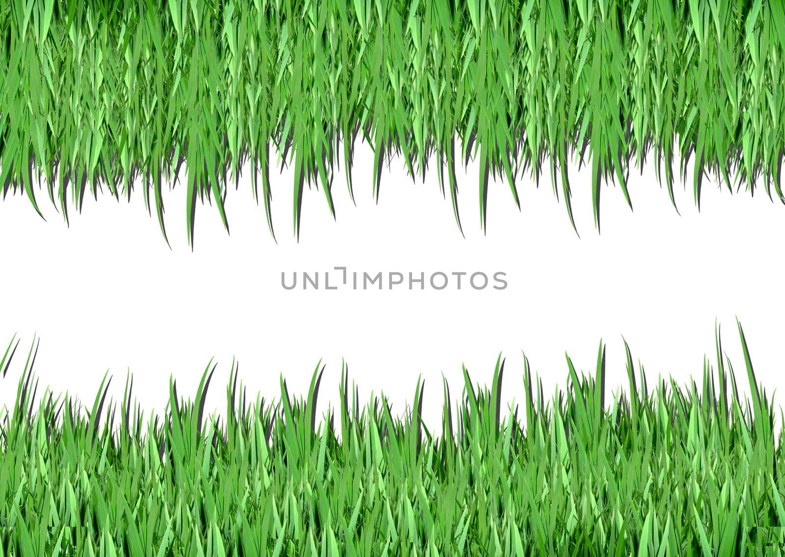 Over view of grass on white background