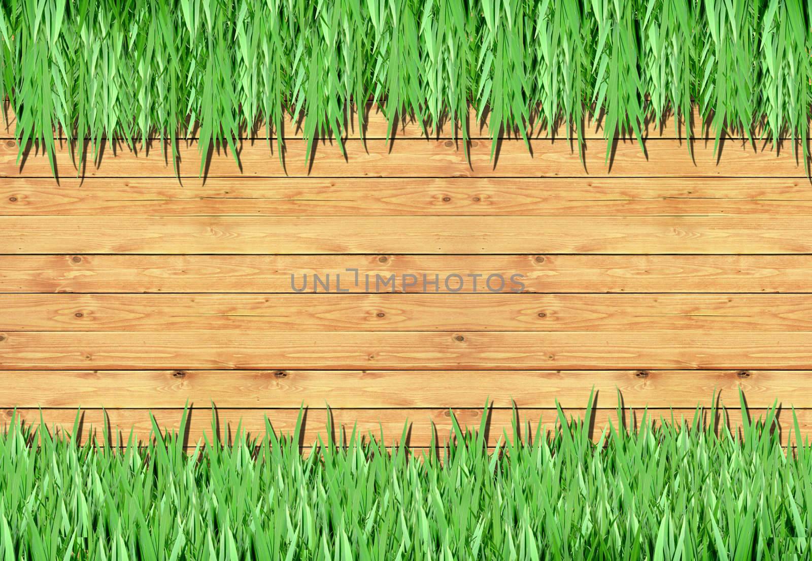 Grass, wood frame with the background