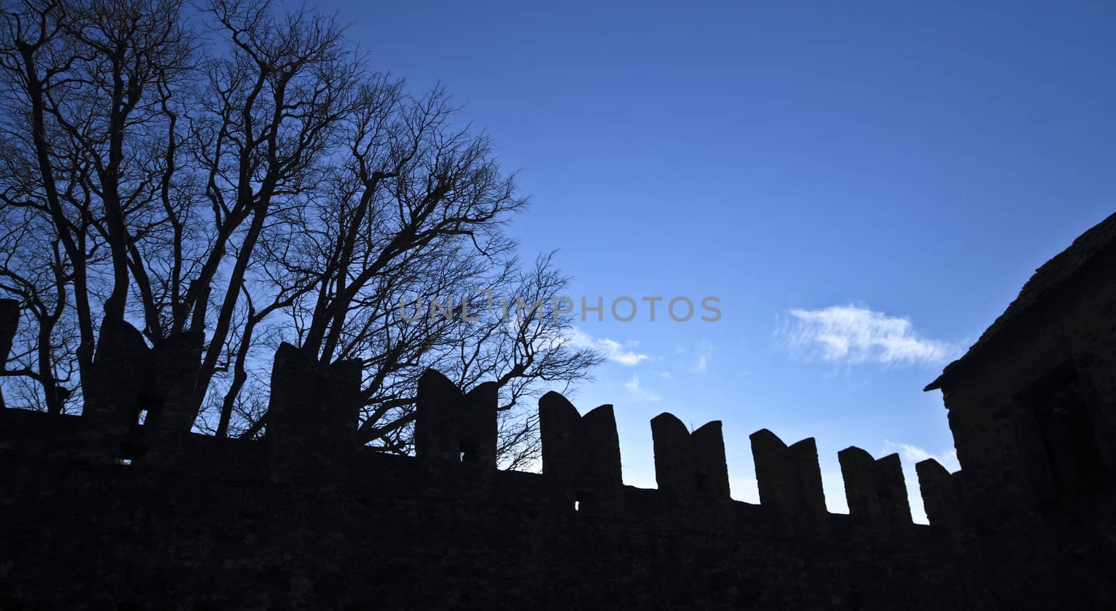 Bellinzona(Swiss)