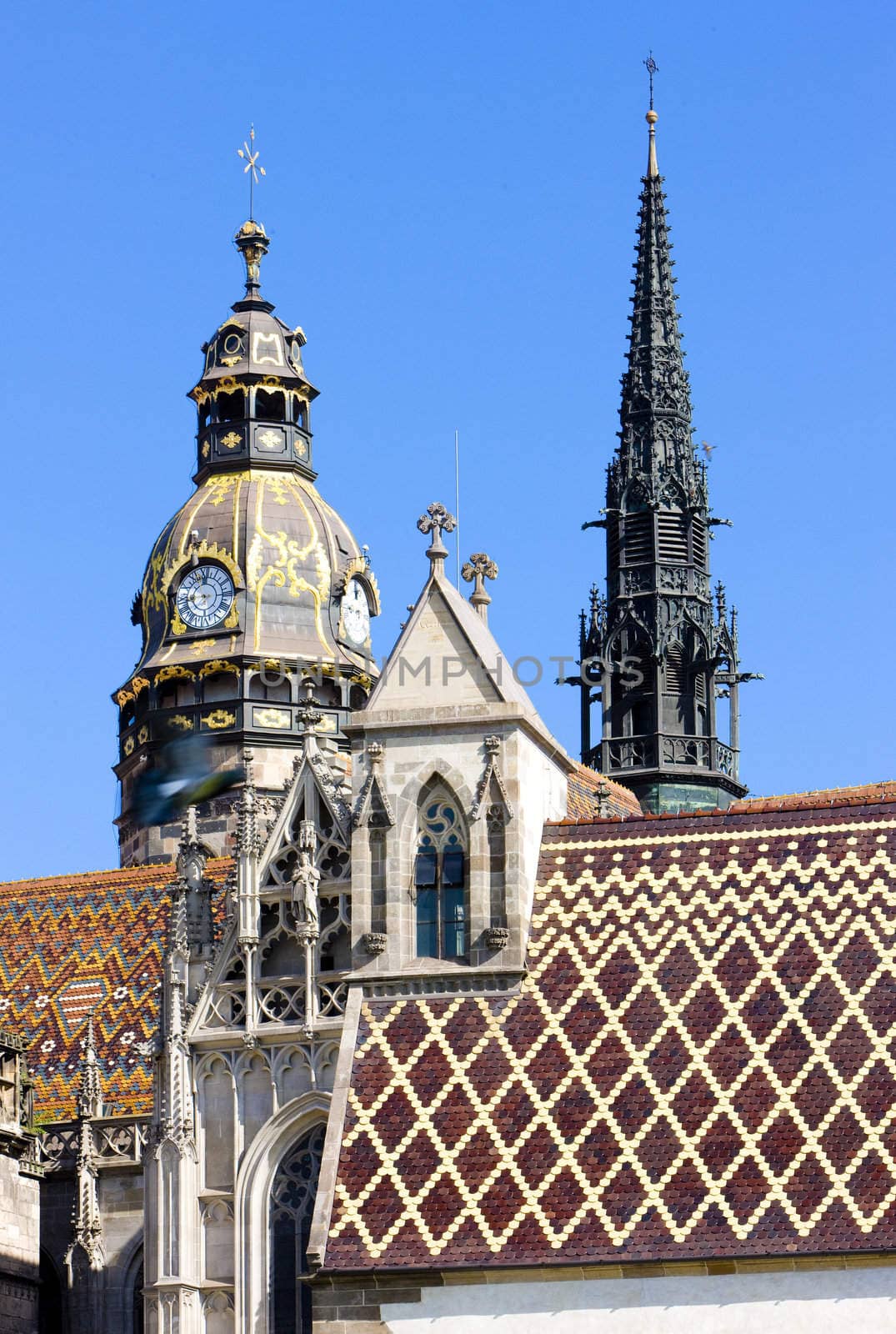 detail of Cathedral of Saint Elizabeth, Kosice, Slovakia by phbcz