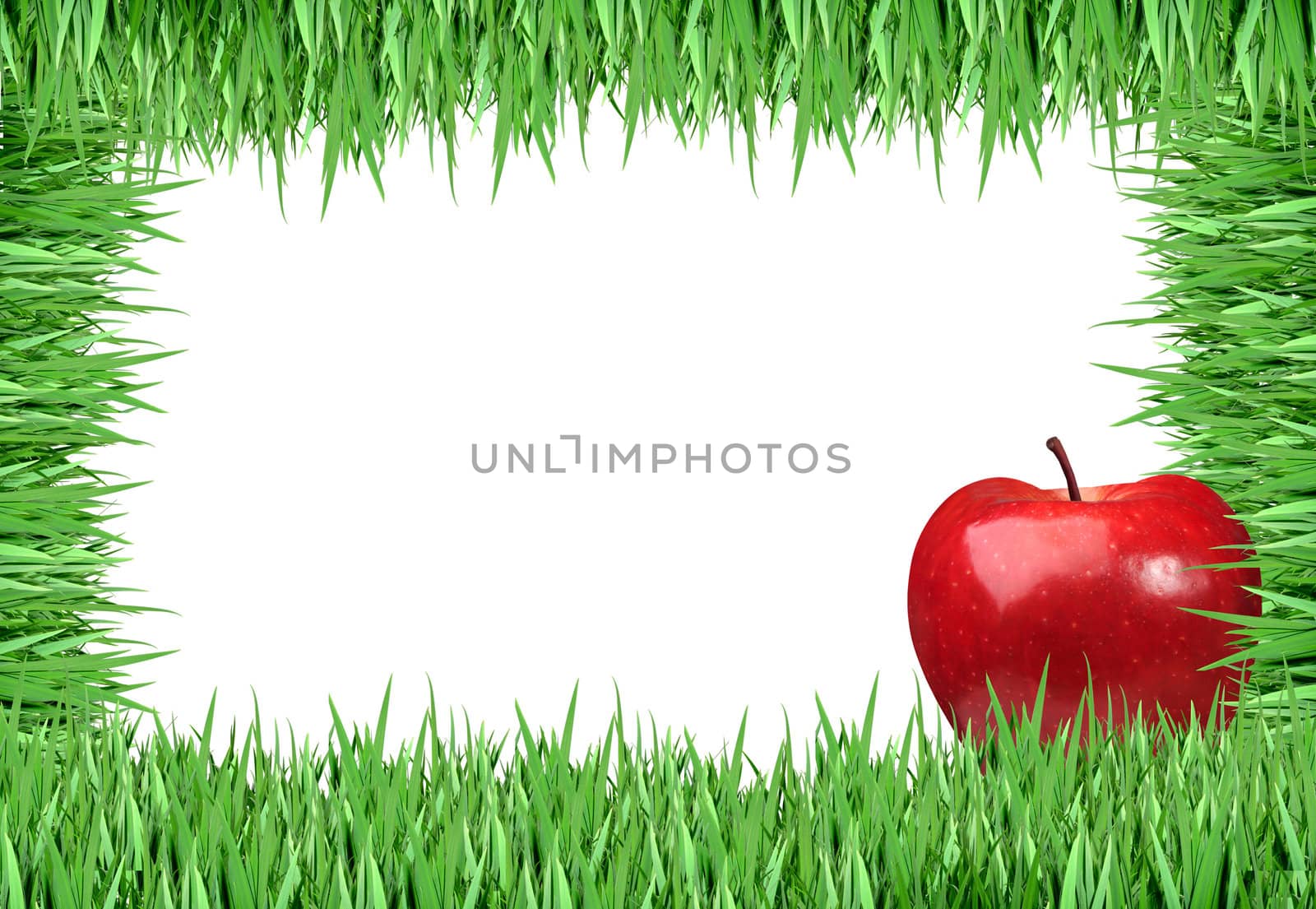 Over view of grass on white background 
 by rufous