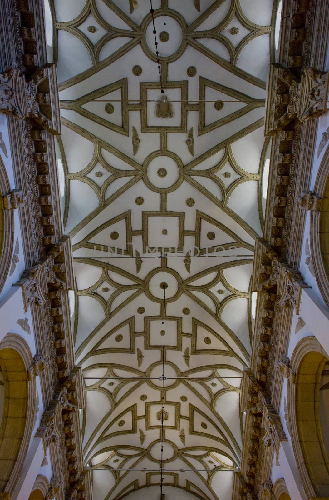 cathedral''s interior, Zamosc, Poland