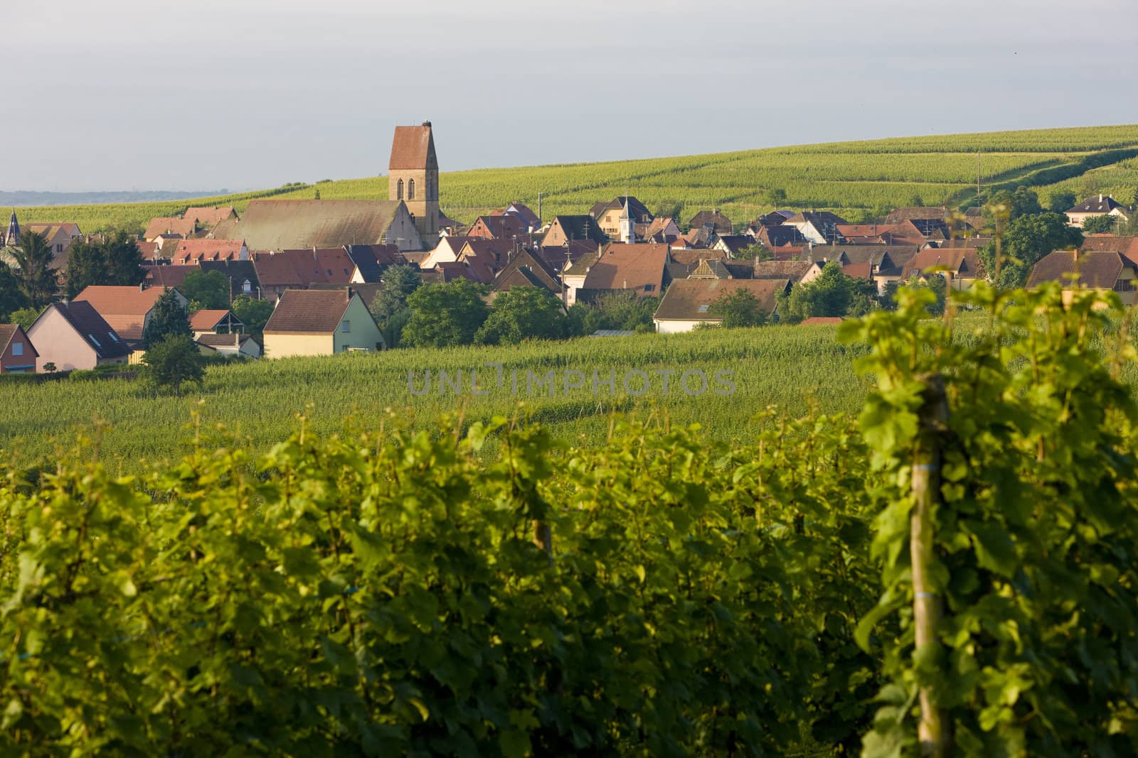 Voegtlinshoffen, Alsace, France