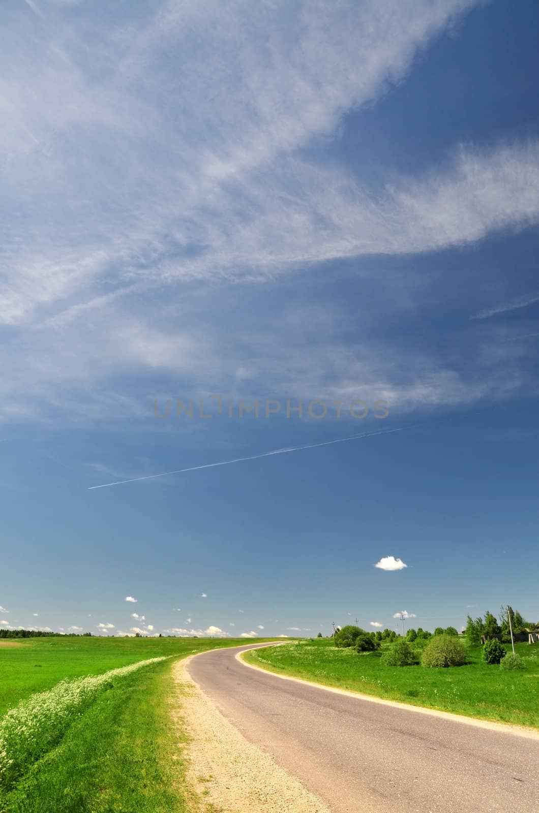 The asphalted road passing through fields and woods