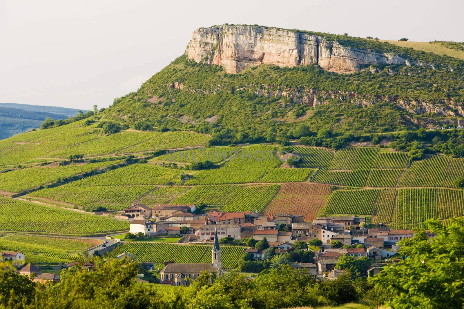 environment of La Roche de Solutr� with vineyards, Burgundy, Fra by phbcz