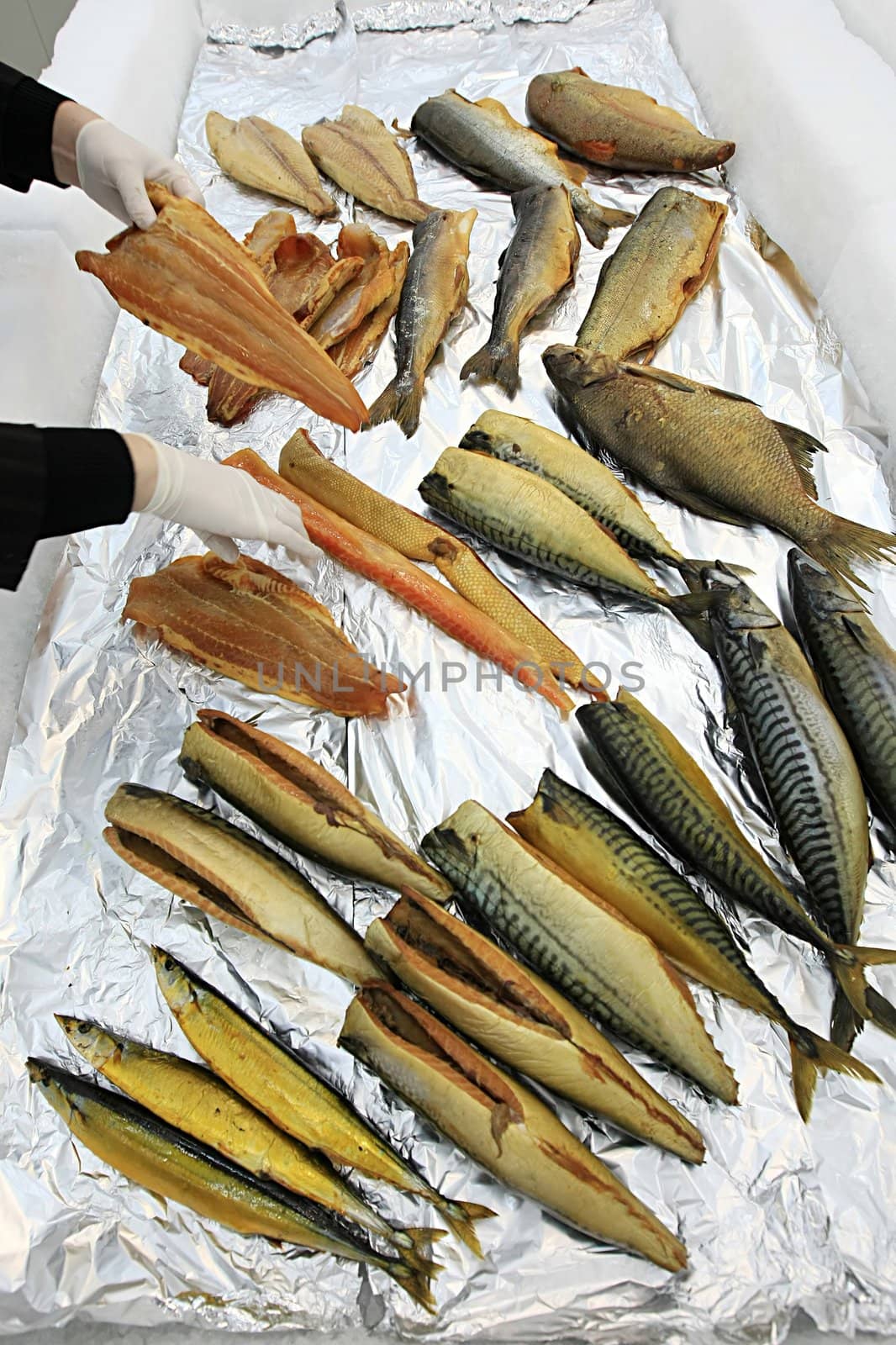 fish stored on ice at the fish market