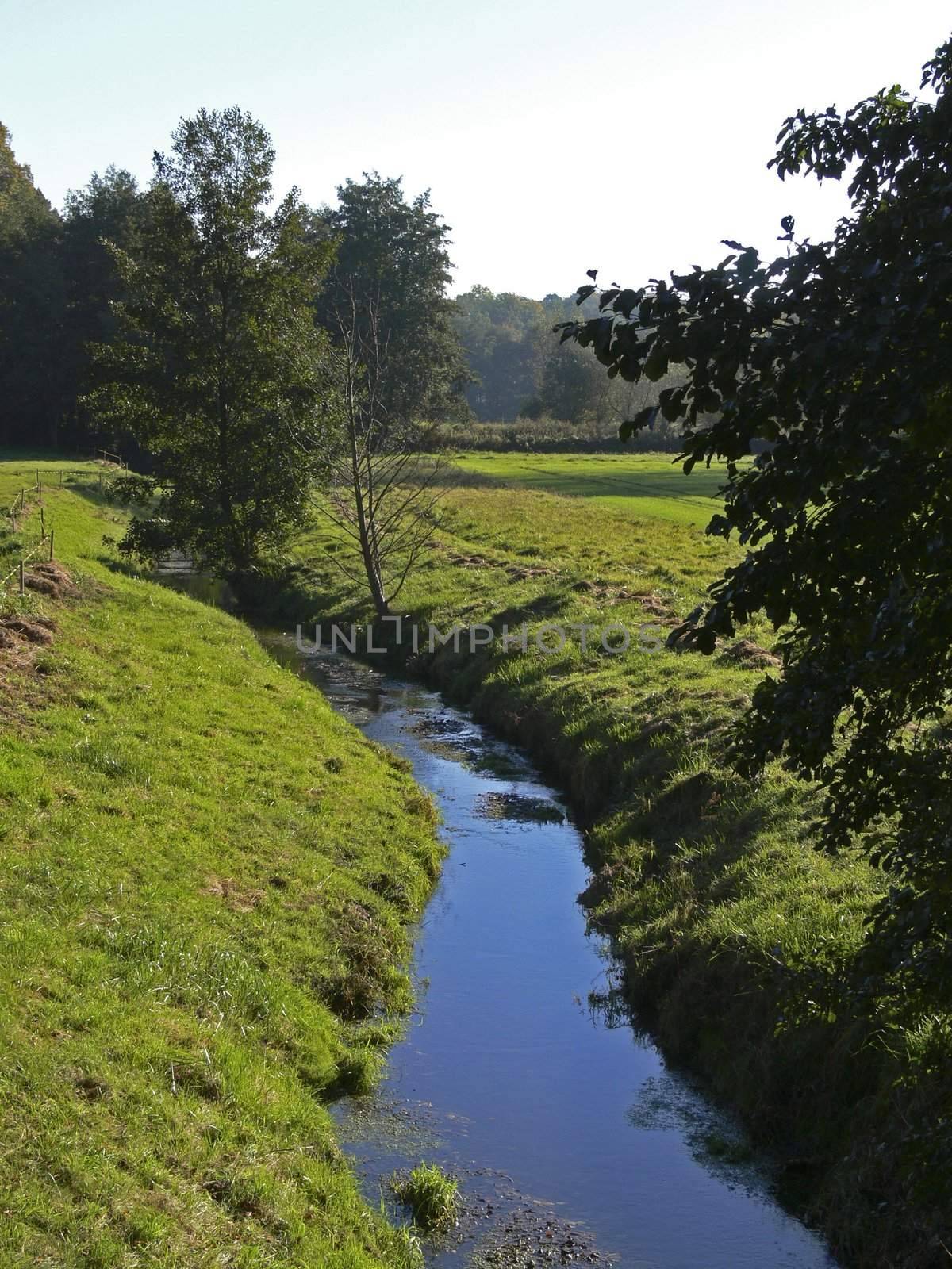 Brook in Lower Saxony, Germany by Natureandmore