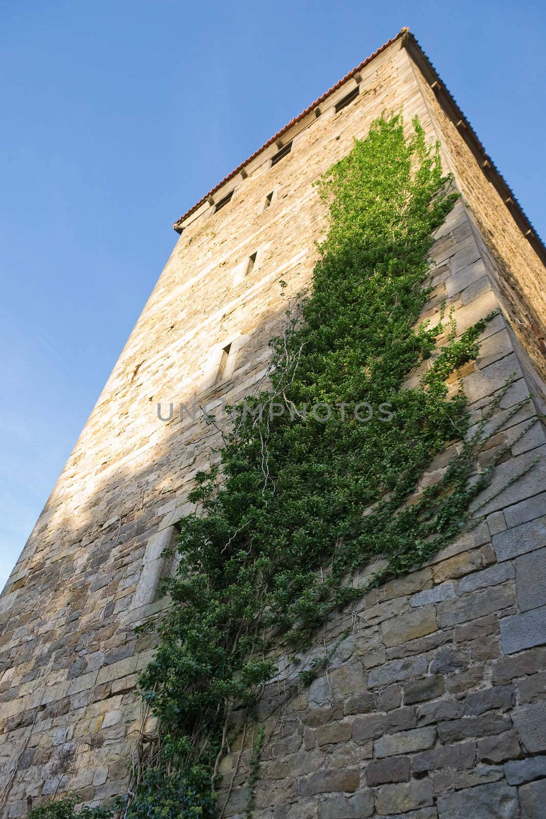 Looking up to Stone Tower of Castle