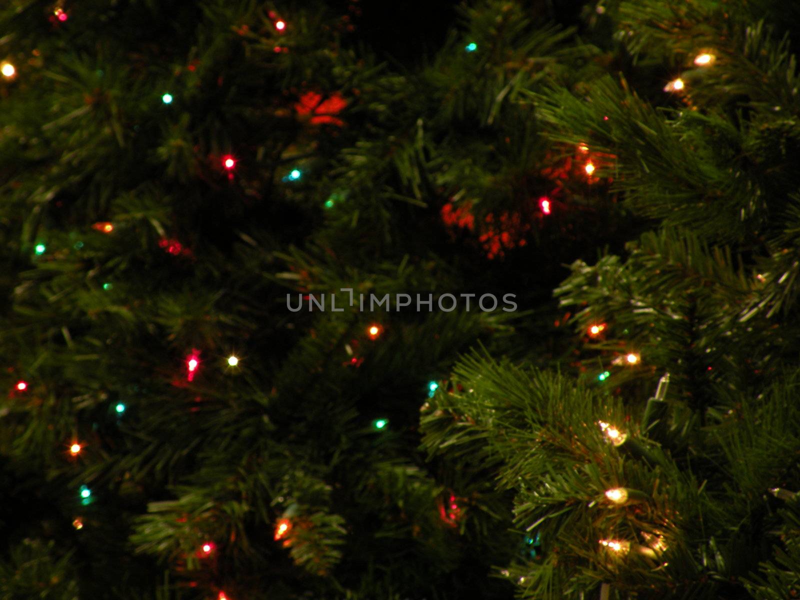 Christmas lights hanging on a tree display