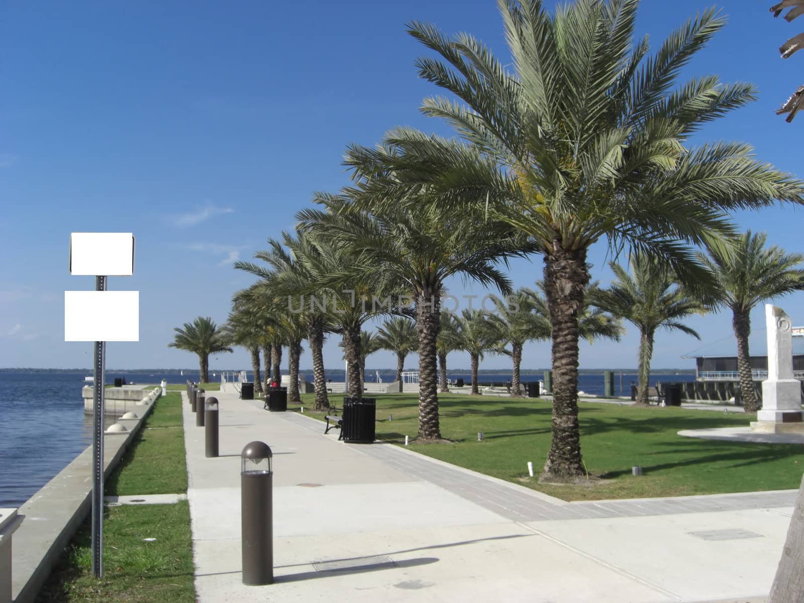 A public park that faces the ocean has palm trees, a wellkept lawn and benches.