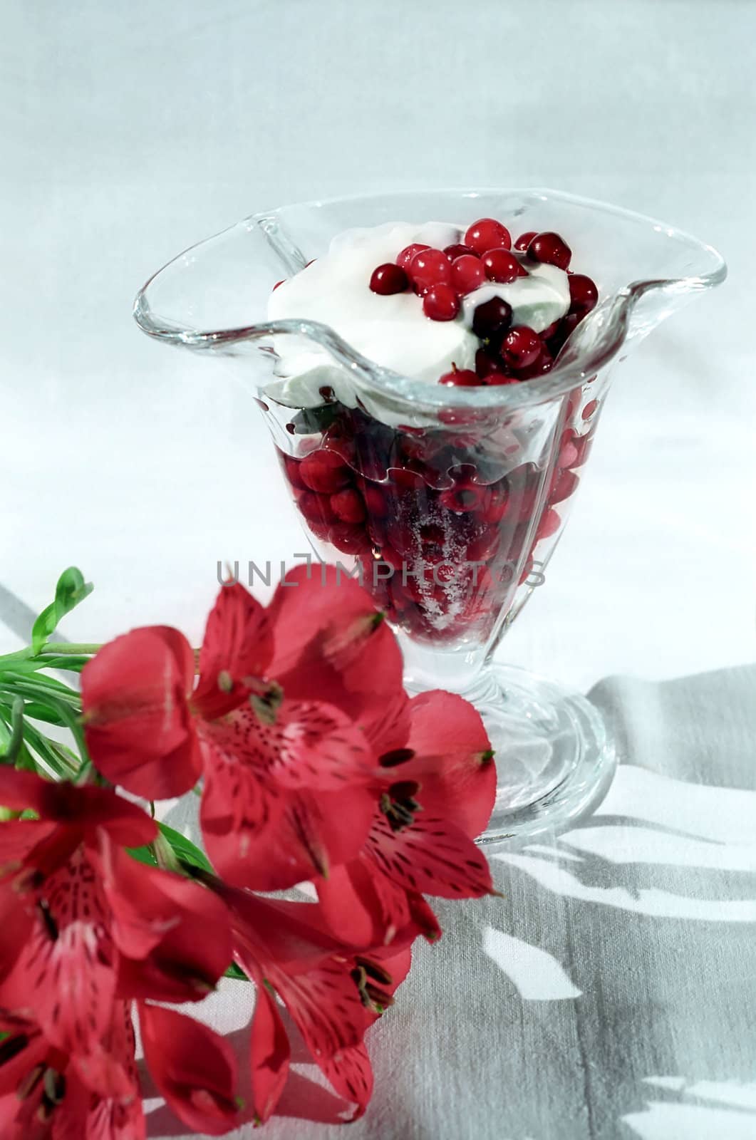 Red berry with cream and flower close up