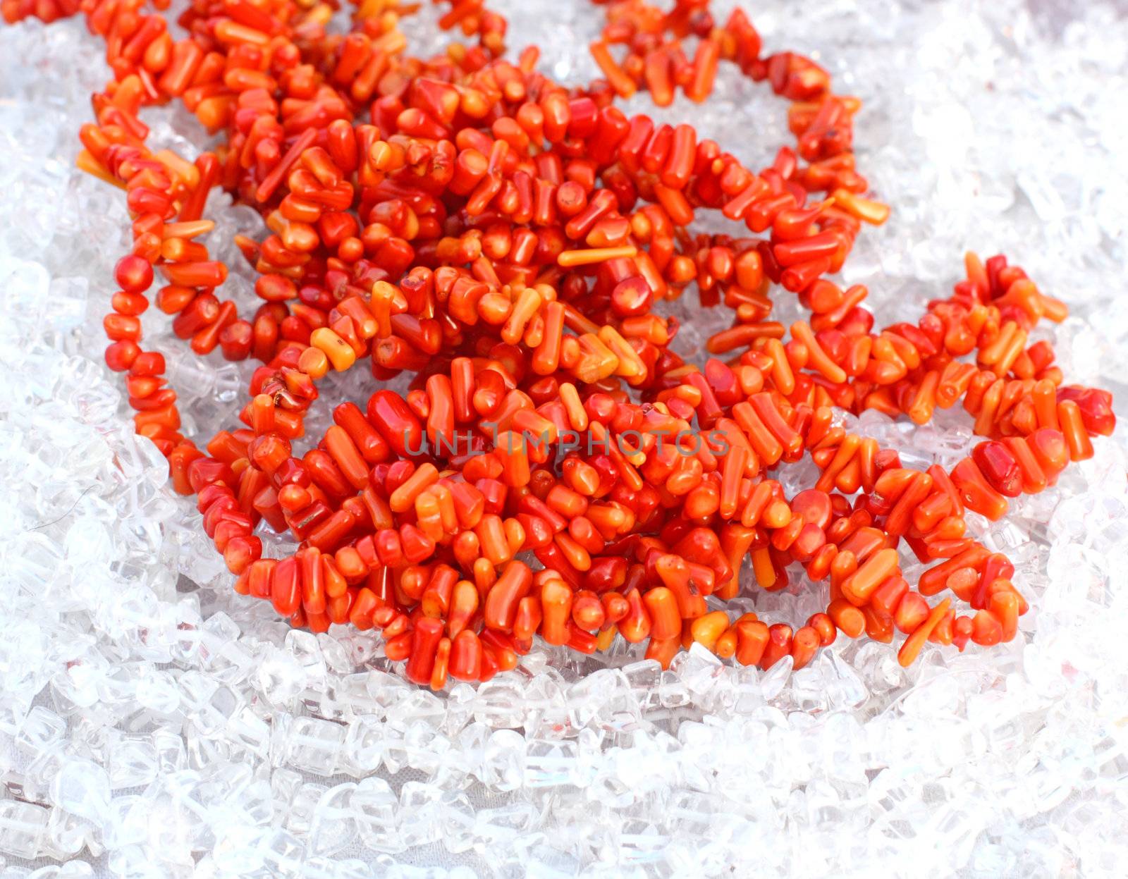 Close up of the orange corals on the rock crystals