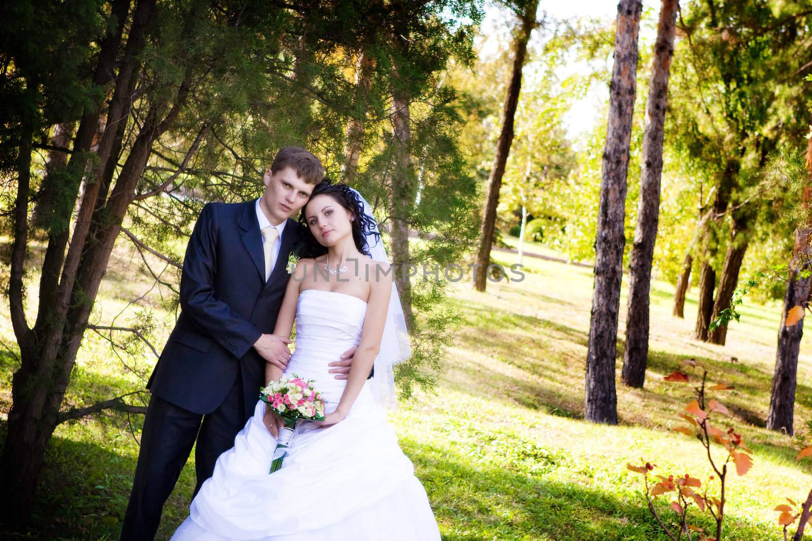 A newlywed couple in a forest by vsurkov