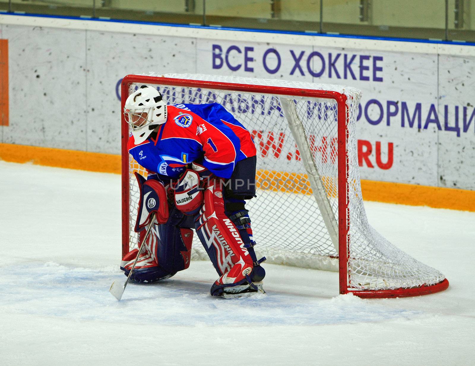 Hockey. The Goalkeeper by Ledoct