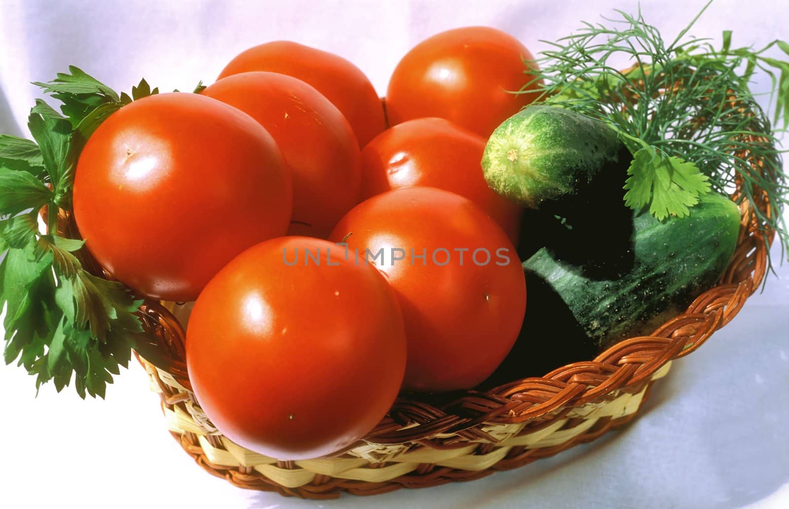 Tomatoes and cucumbers in the basket