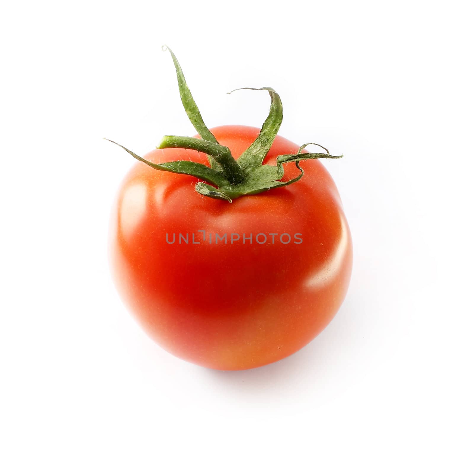 fresh tomato with green leaves on white