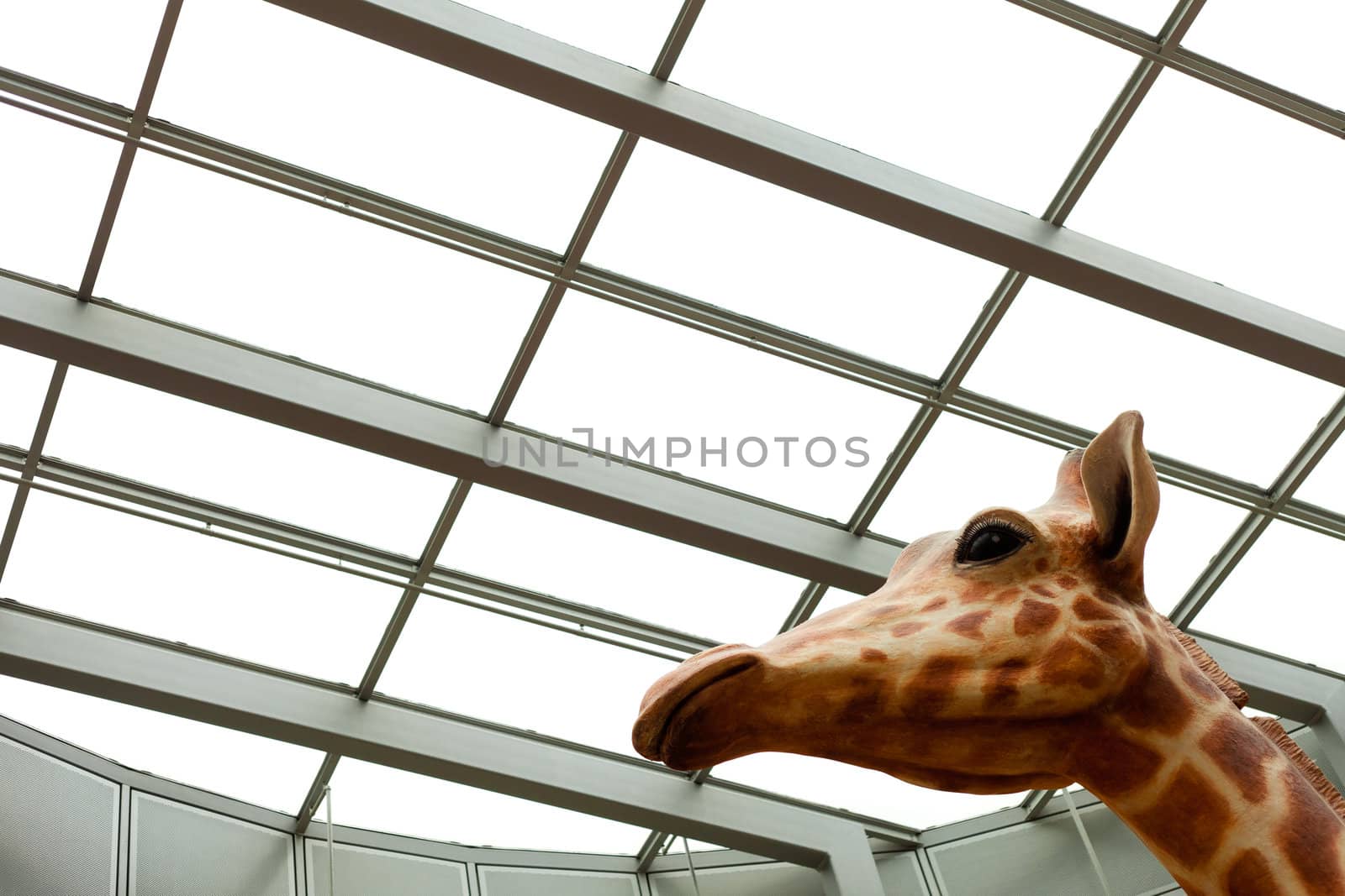 Funny giraffe sculpture under contemporary steel and glass skylight/ceiling.