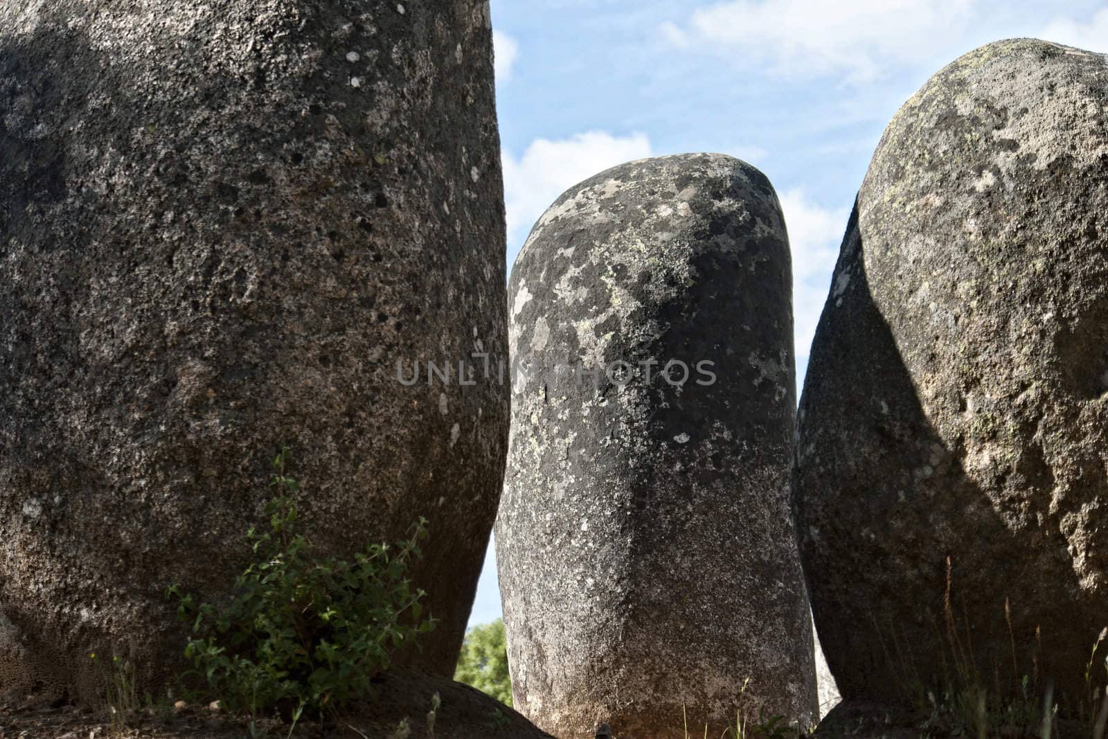 Menhirs in megalithic monument of Cromelech dos Almendres - Evora -Portugal