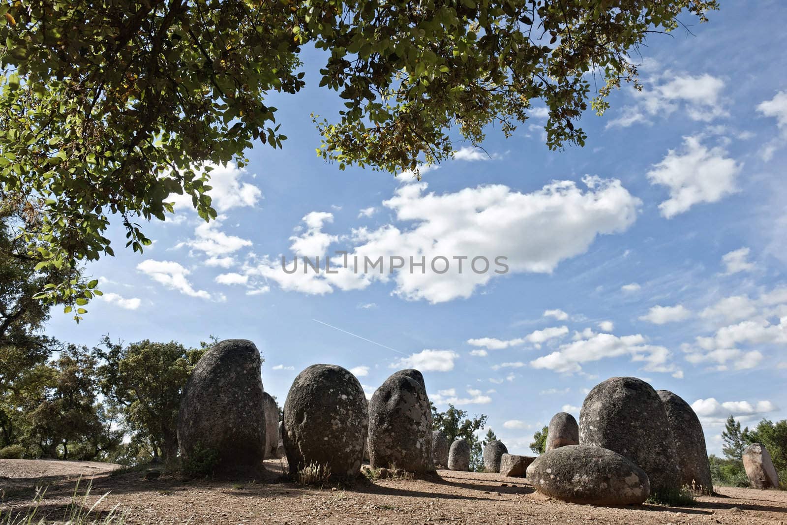 Menhirs in megalithic monument of Cromelech dos Almendres - Evora -Portugal