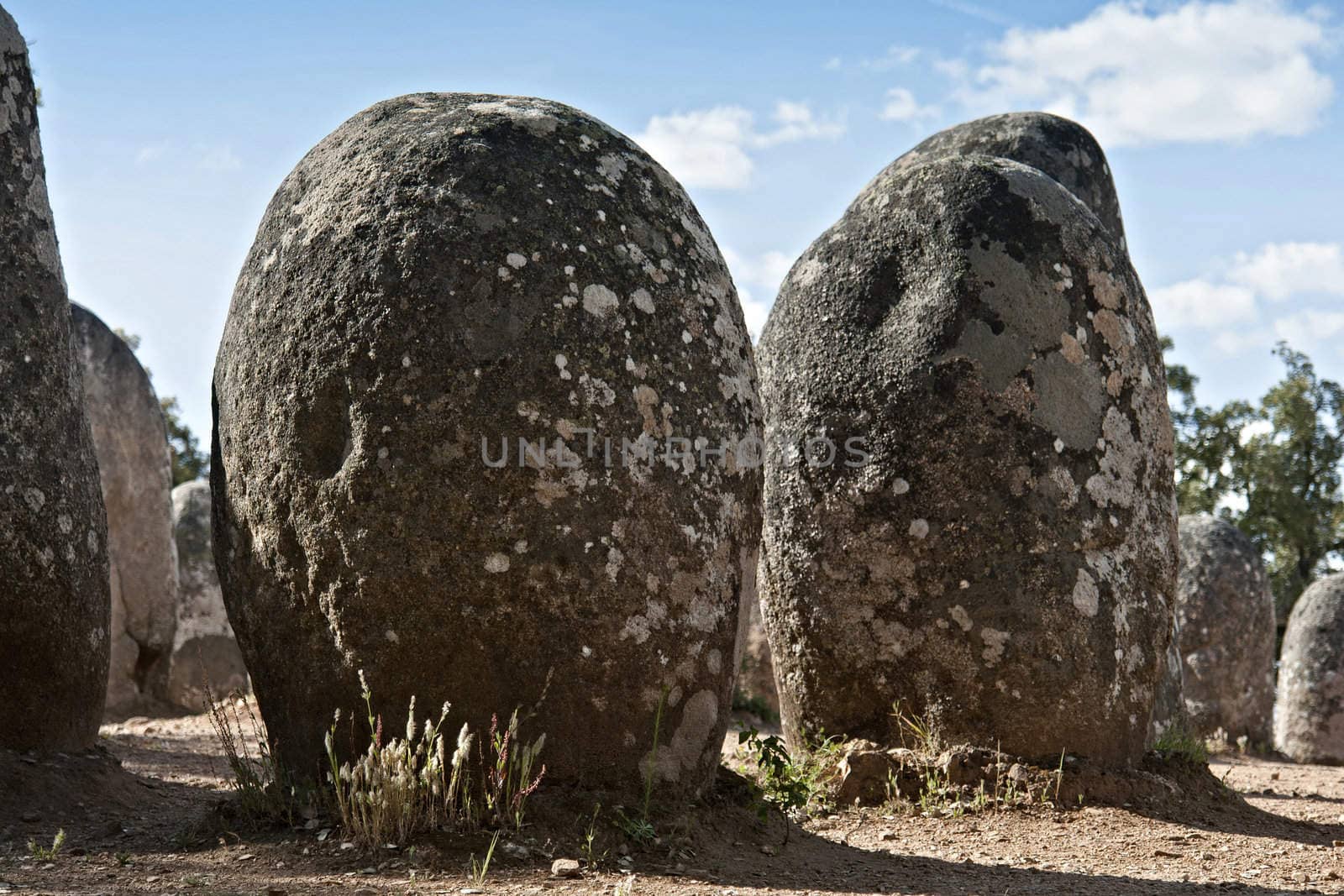 Decorated menhir in megalithic monument of Cromelech dos Almendres - Evora -Portugal