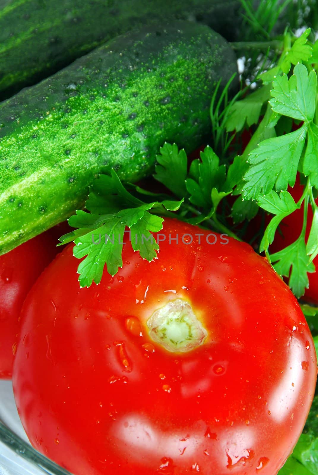 food ingredients, appetizing fresh vegetables,  cucumber and red tomato