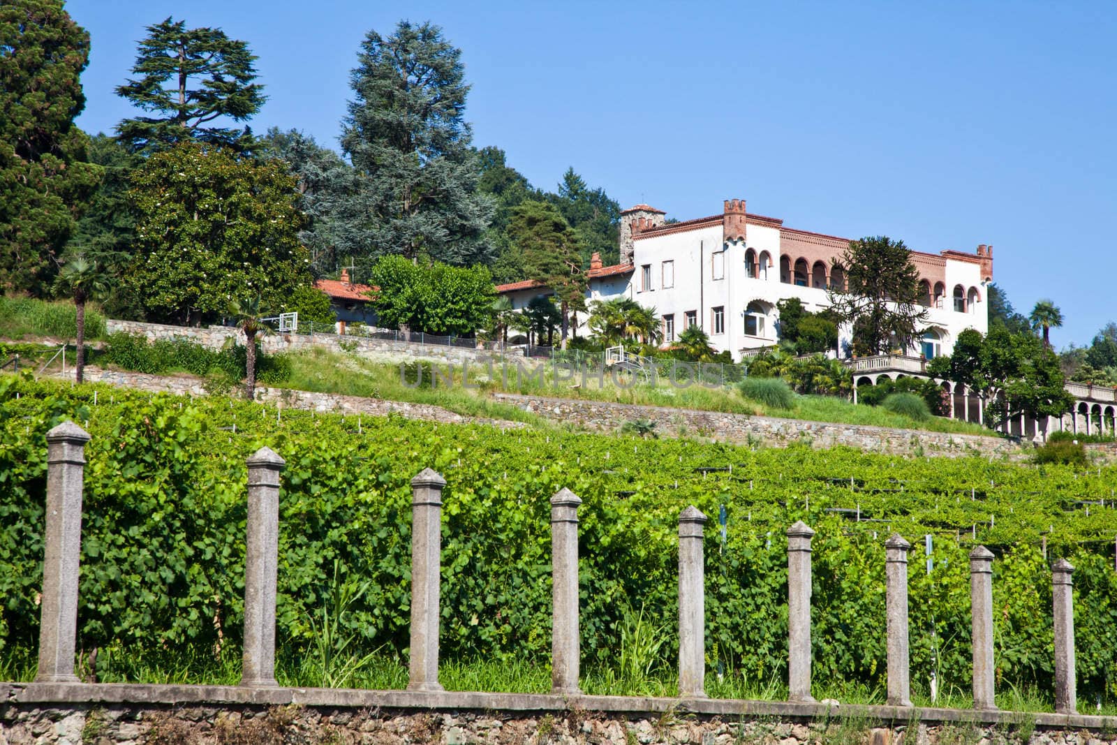Tuscany, Italy. Italian luxury villa in the country, close to a Lambrusco vineyard
