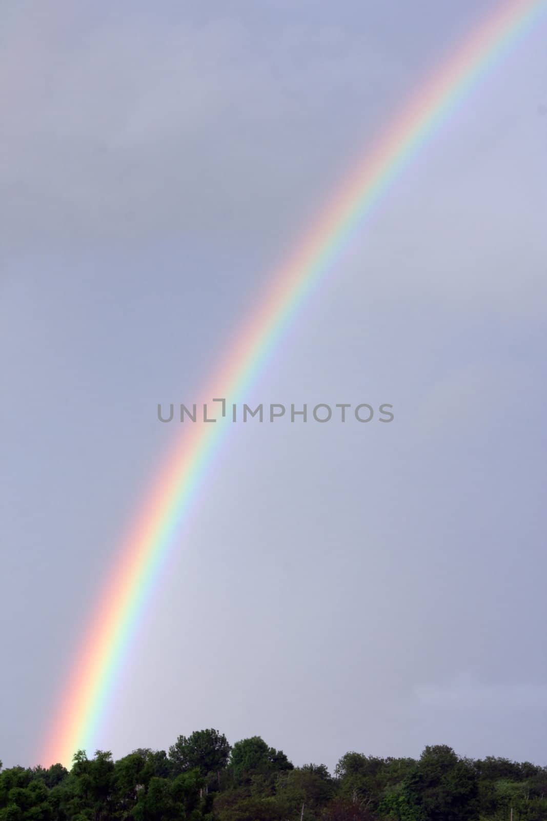 Rainbow by a_mikos